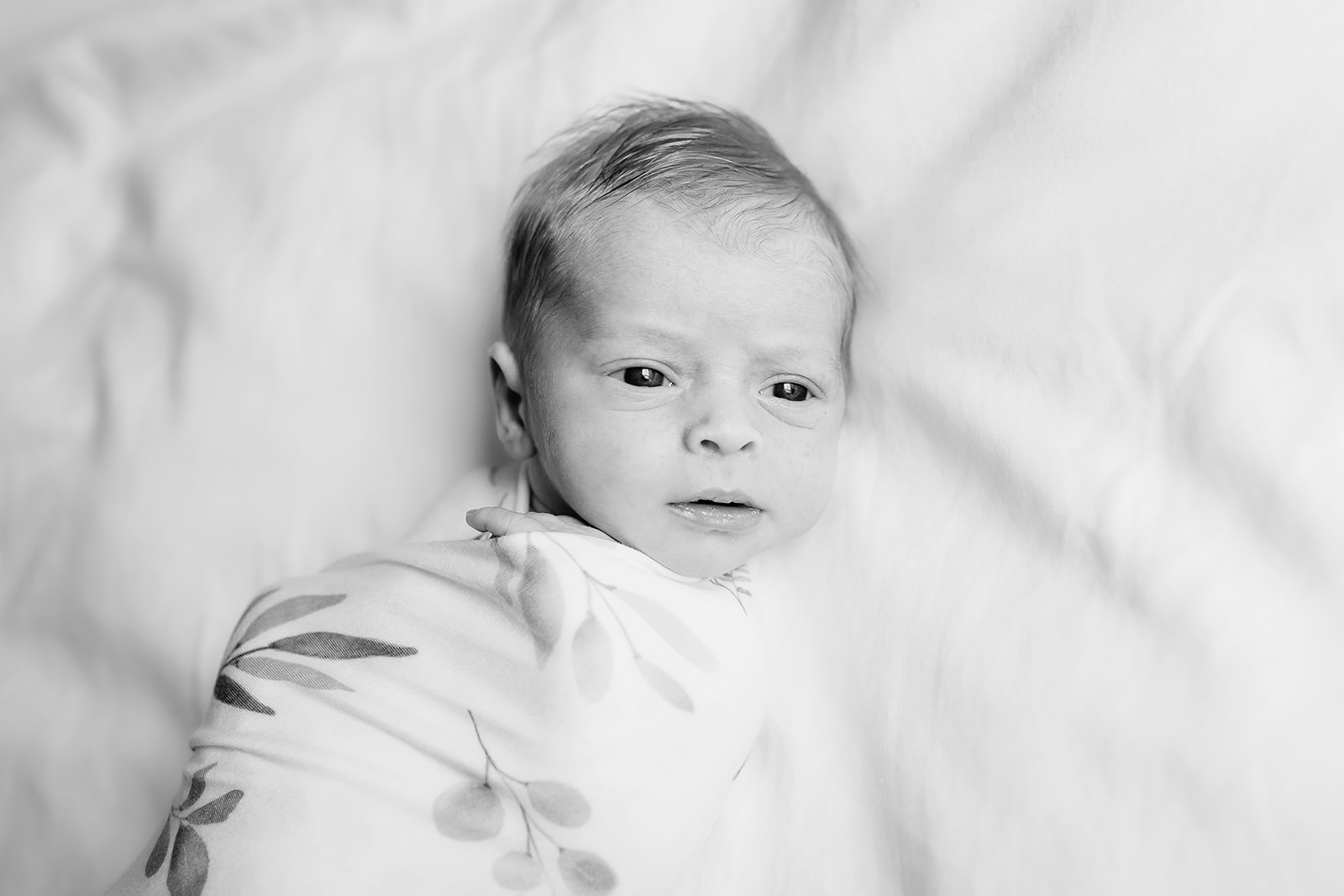 Erie, Colorado newborn photographer