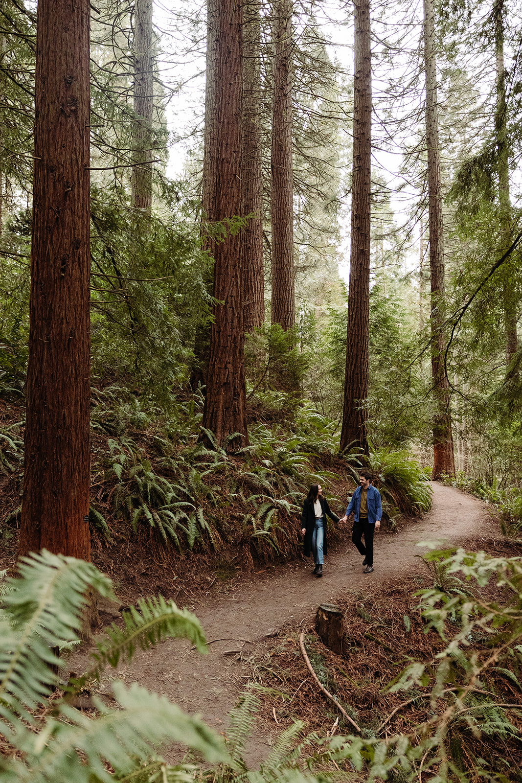 Couple walks along path at Hoyt Arboretum Redwood Deck 