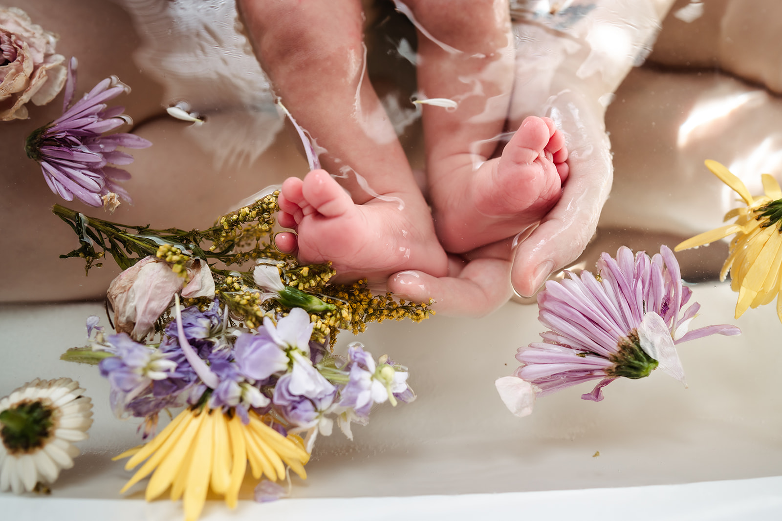 newborn toes flower bath