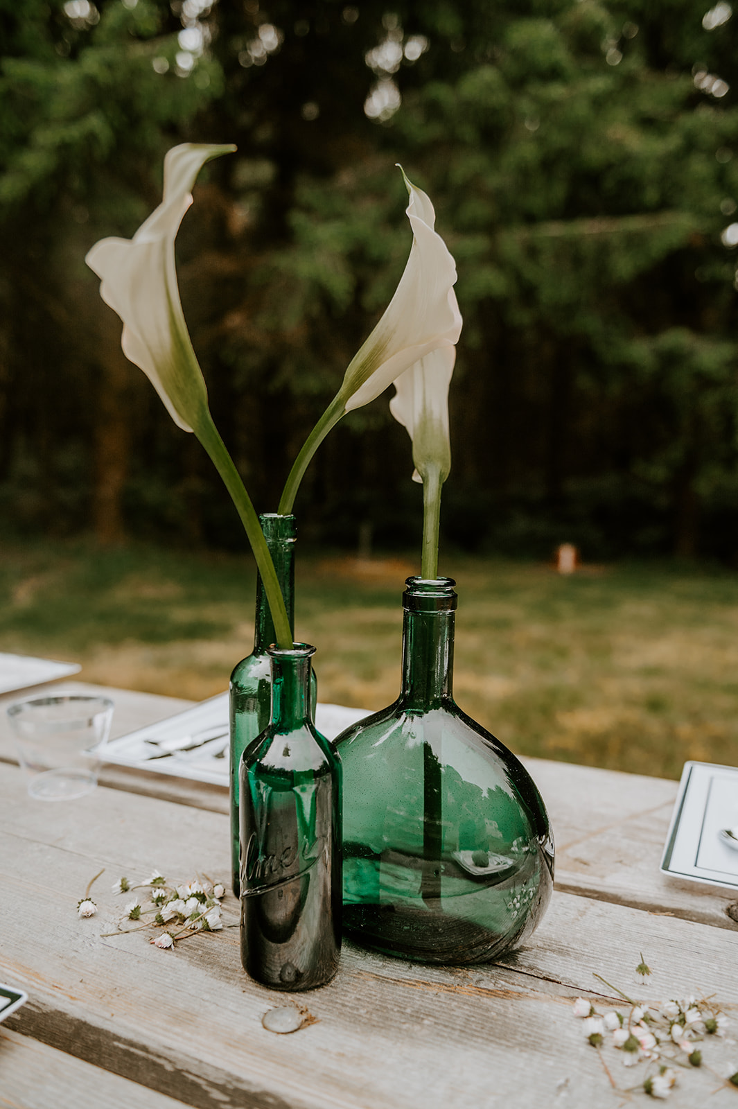 Calla lilies in vases for wedding decor