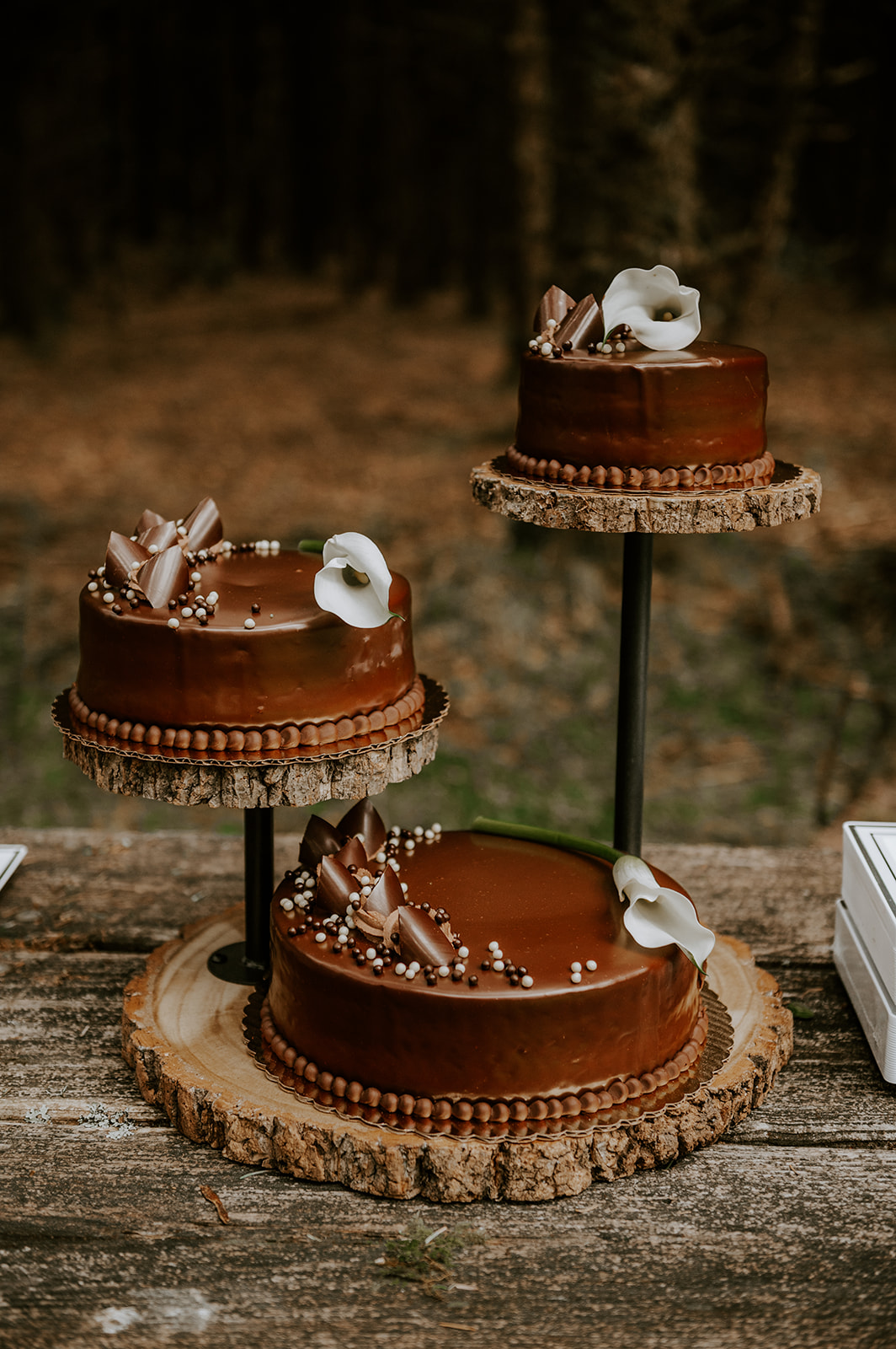 Chocolate cake on tiered wooden rounds for wedding desert 