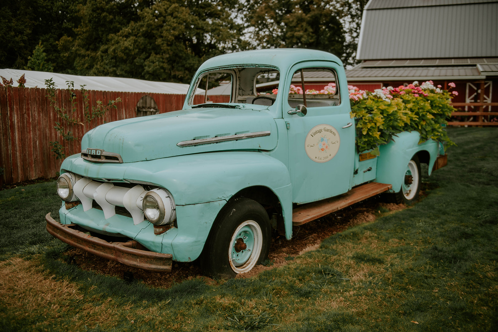 Vintage Gardens Rustic Events garden truck - turquoise vintage Ford.