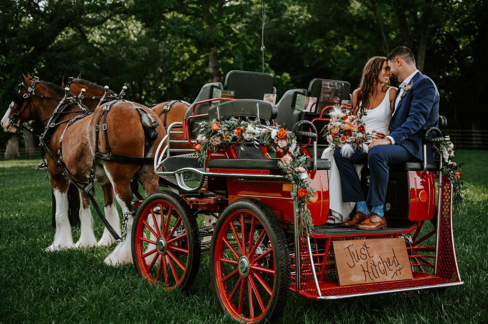 Bride and groom on a horse drawn carriage with a just hitched sign on it.