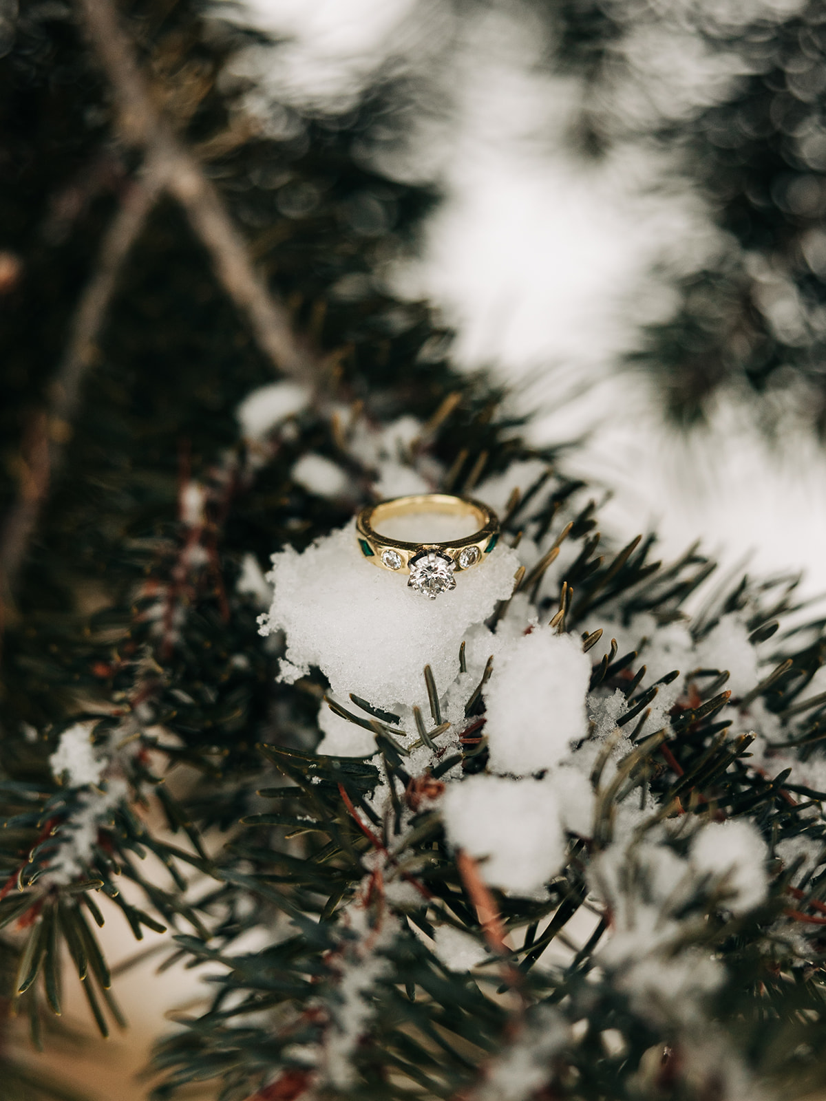 wedding ring placed on a snowy pine leaf