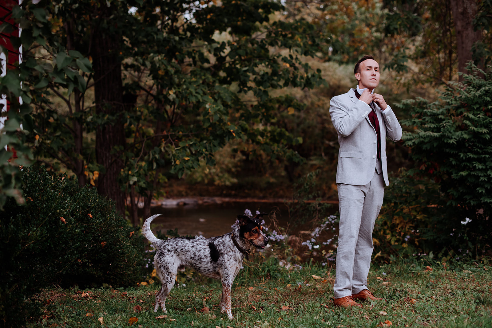 Groom stands on the river bank with his spotted pointer while putting his tie on.