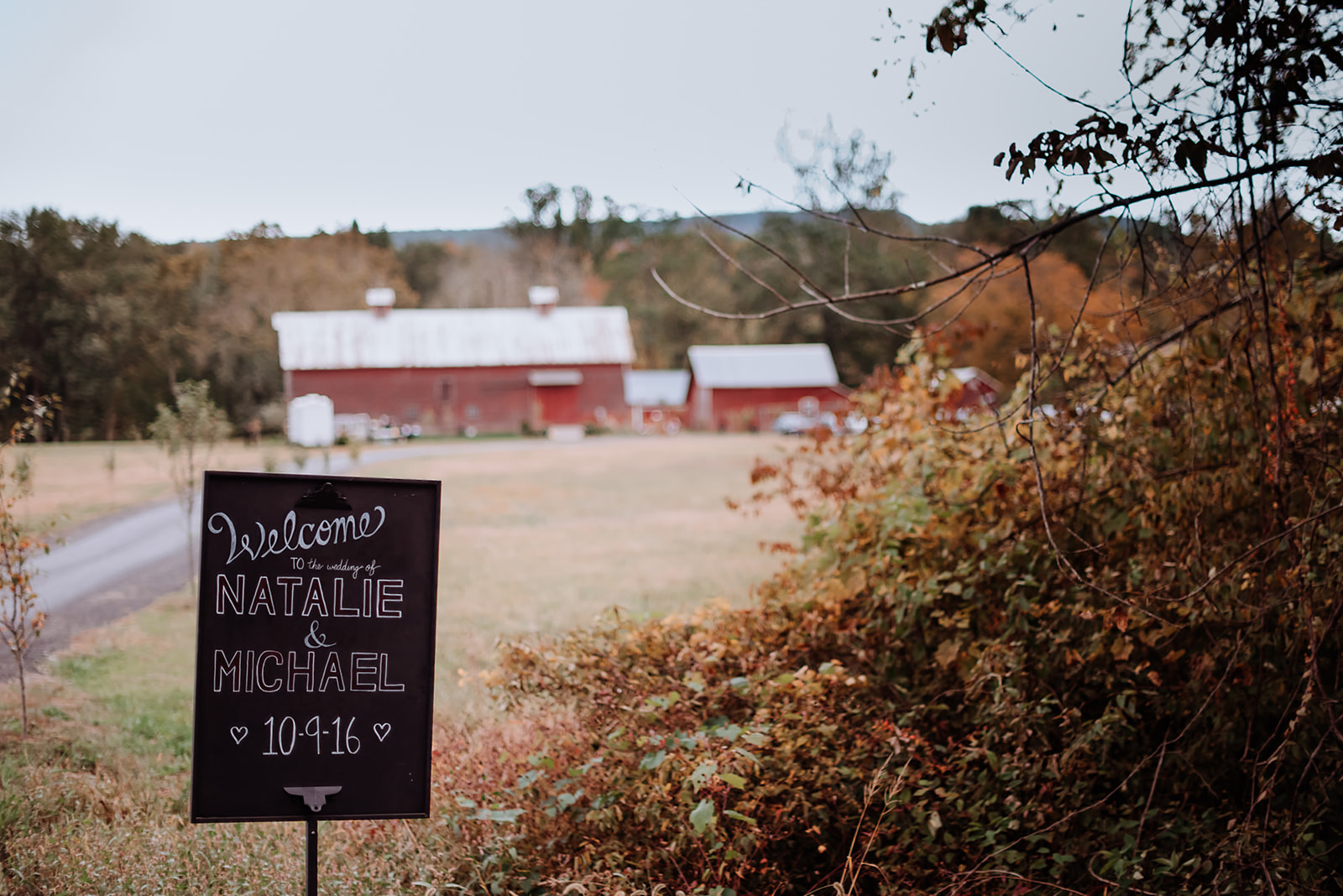 The barns and long driveway that lead you to the river front barn wedding venue called Crested Hen Farms.