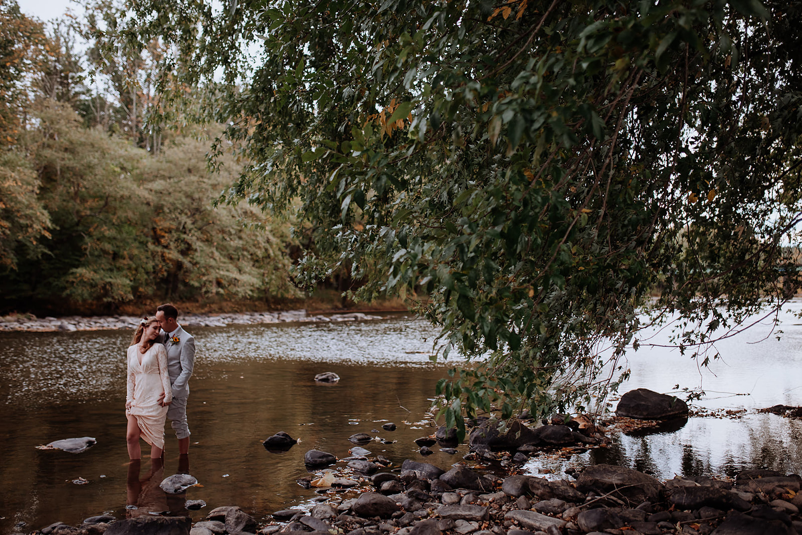 Wide angle shot of couple standing in mountain river underneath a willow tree at Crested Hen Farms.