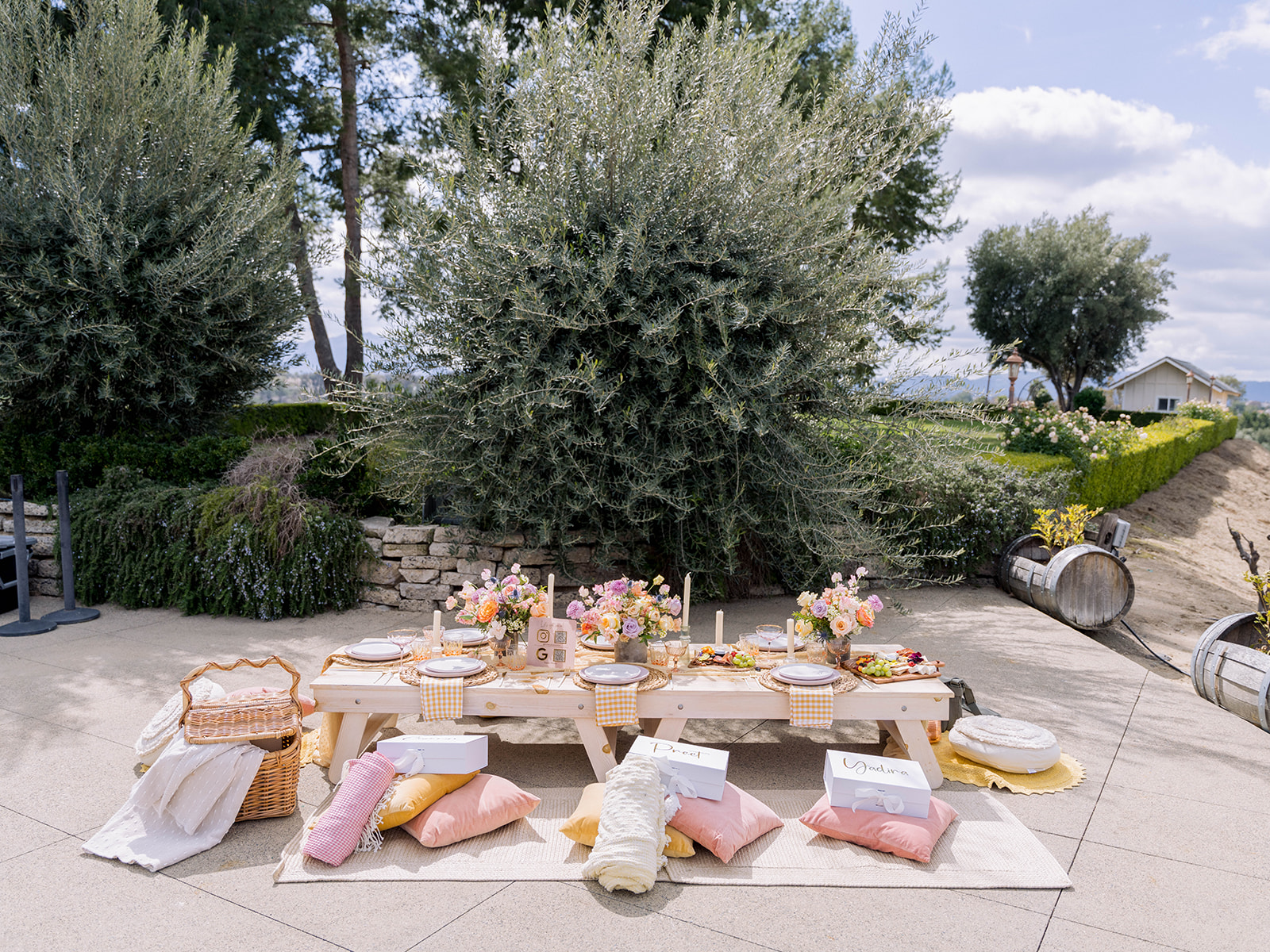 Winery bridal shower picnic