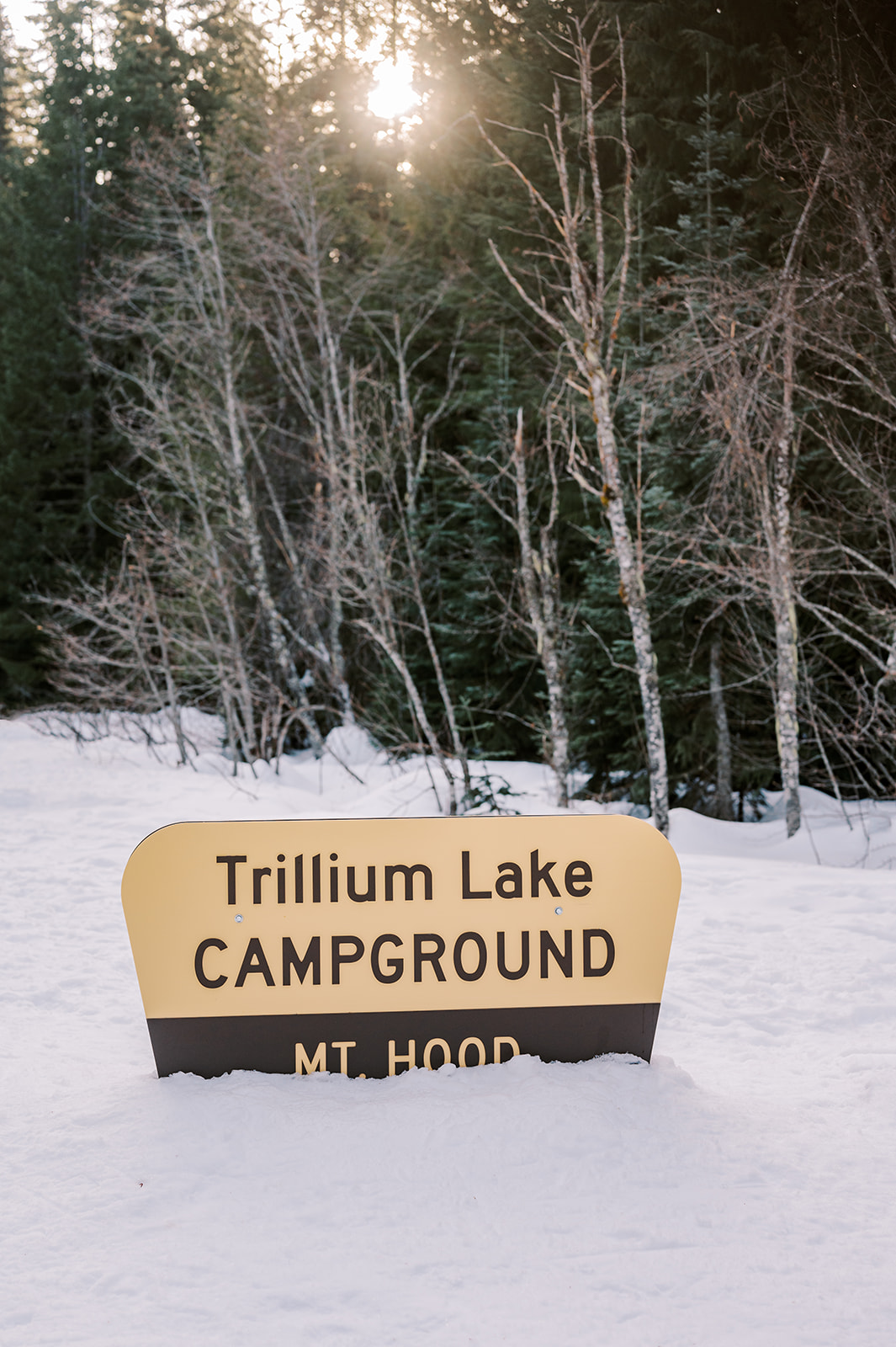 Trillium Lake Engagement Photos near Mount Hood  
