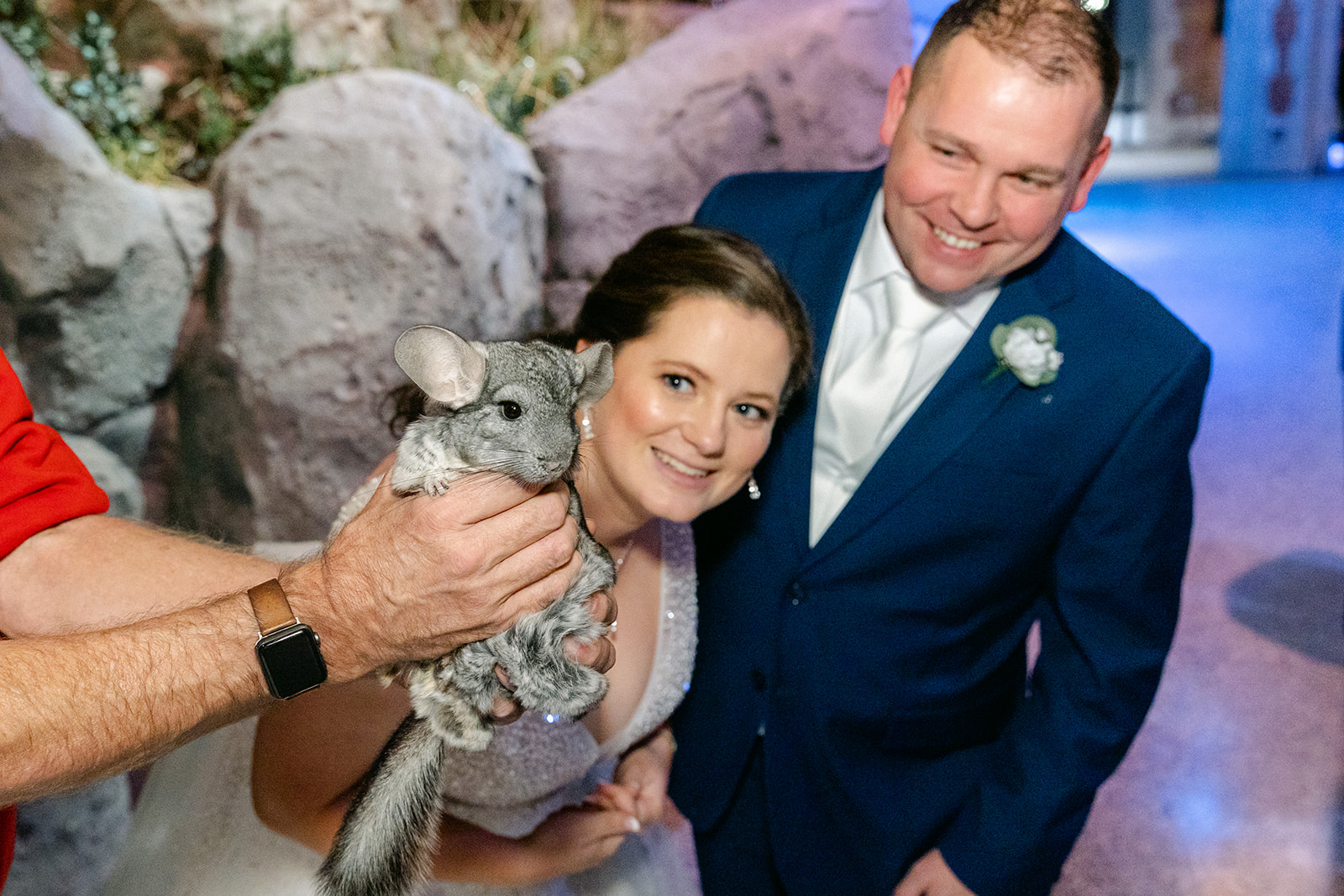 bride and groom with the animals at the Toledo zoo
