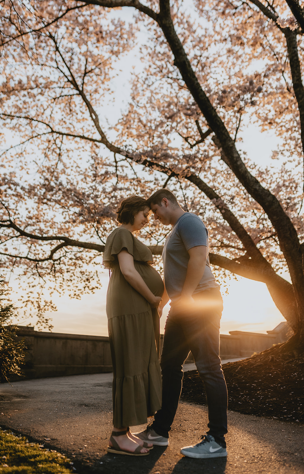 golden hour couples session at the Biltmore Estate in Asheville 