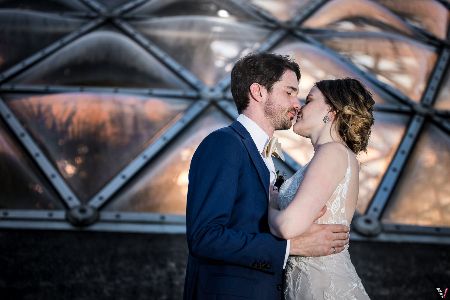 bloedel conservatory pink sunset bride and groom photos 