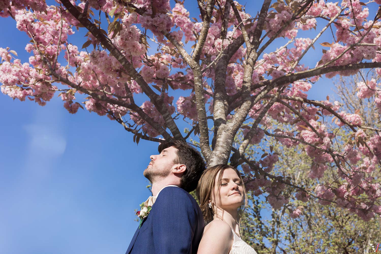 Cherry blosssom tree wedding photographers Vancouver