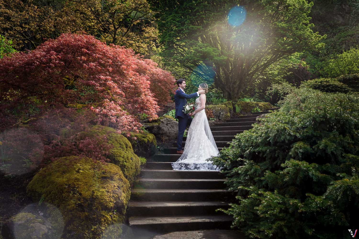 Couple just married photographed with maple tree.