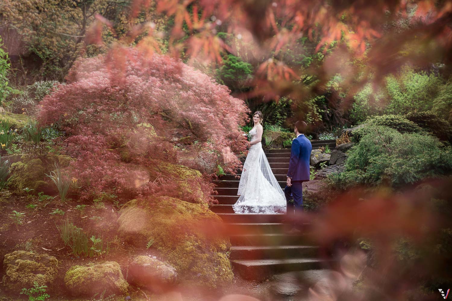 Red maple tree spring Vancouver wedding.