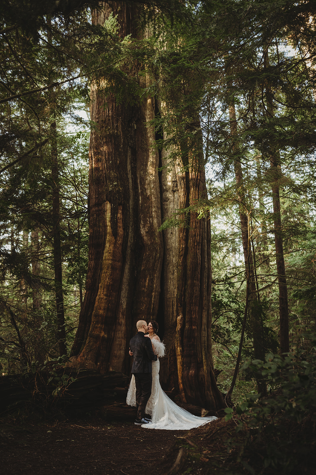 Couple elope in Ucluelet and have their wedding portraits captured on the Ancient Cedars trail near Black Rock Resort