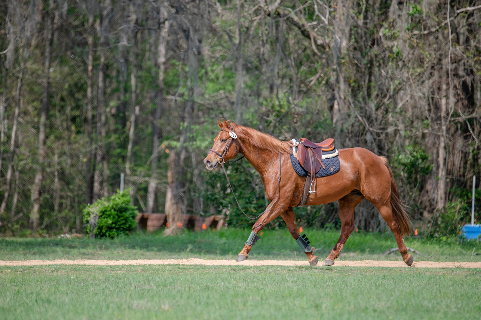Behind the Scenes from Eventing competition in Tallahassee, FL at Mahan Farm. calicoandchrome.com