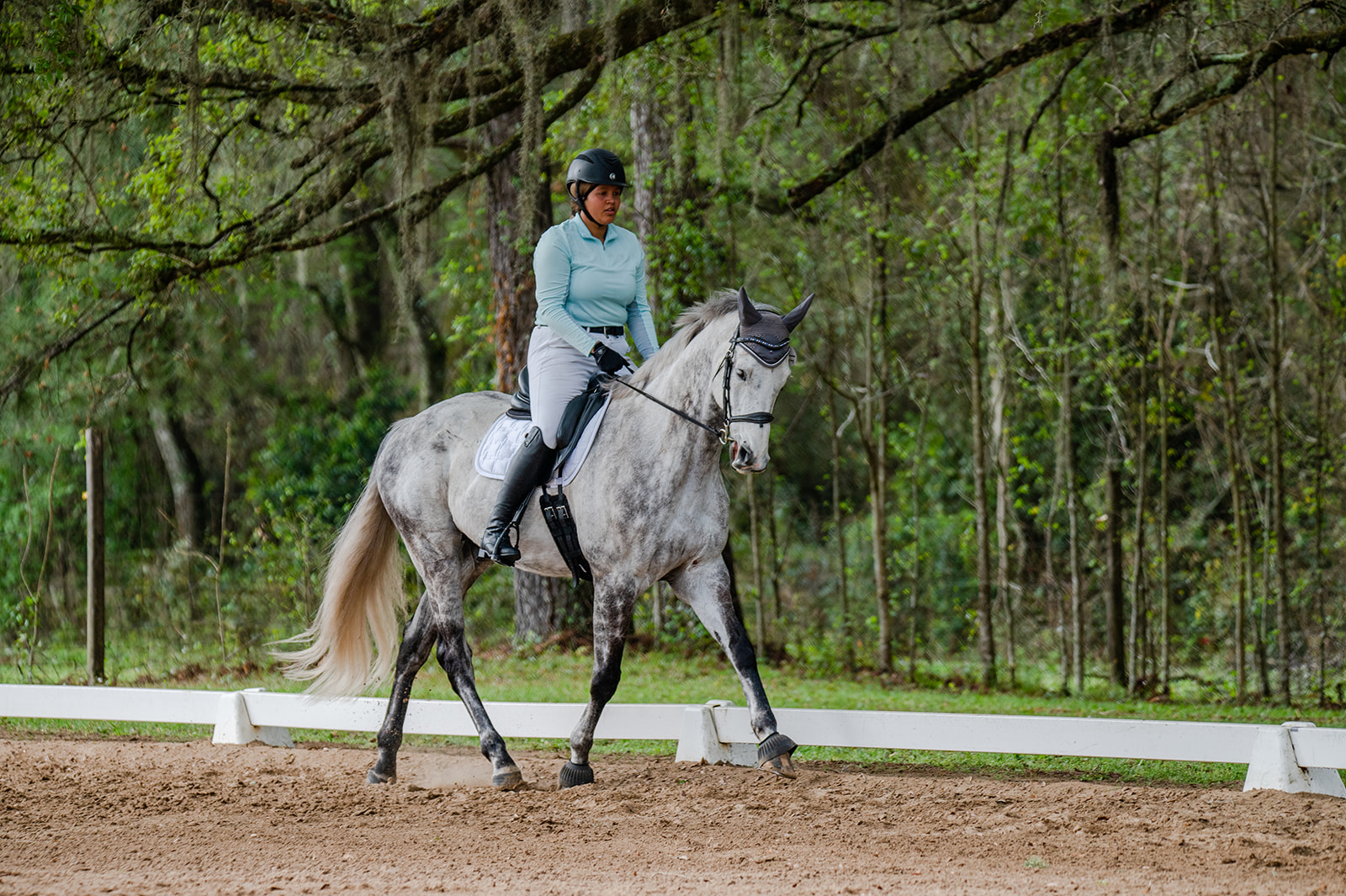 Equestrian competing in Dressage during Eventing competition in Tallahassee, FL at Mahan Farm. calicoandchrome.com