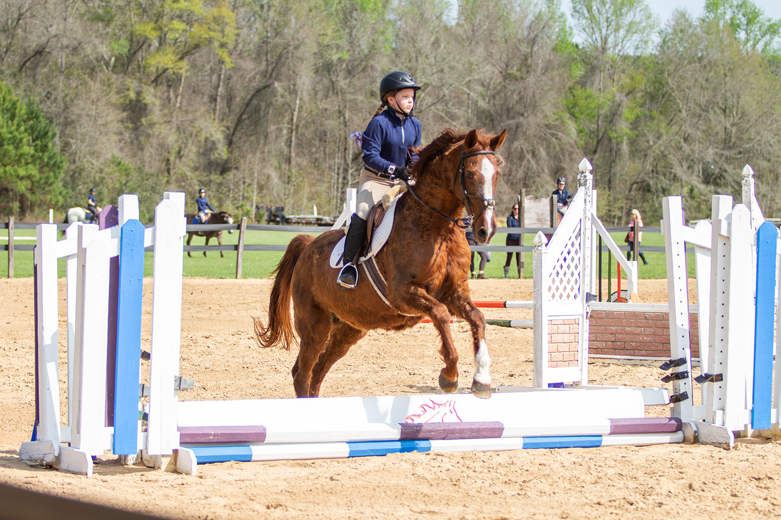 Equestrian competing in Show Jumping during Eventing competition in Tallahassee, FL at Mahan Farm. calicoandchrome.com