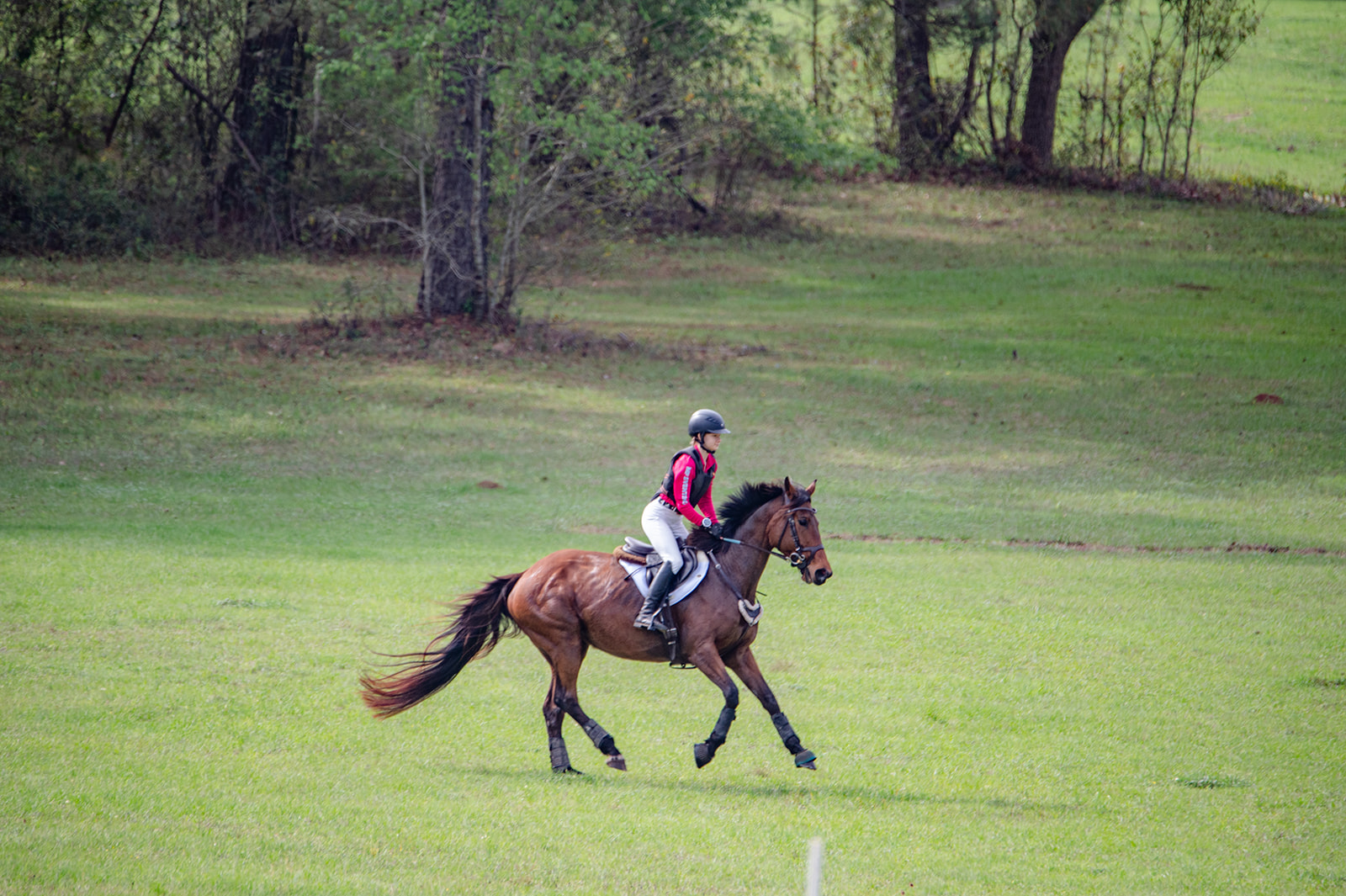 Equestrian completing the Cross Country course at an Eventing show at Mahan Farm in Tallahassee, FL calicoandchrome.com
