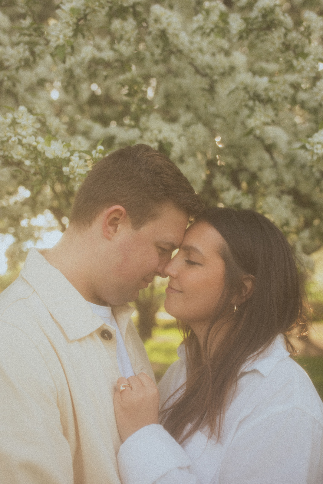 couple holding each other with their foreheads together under flowering trees at sunrise in Minneapolis