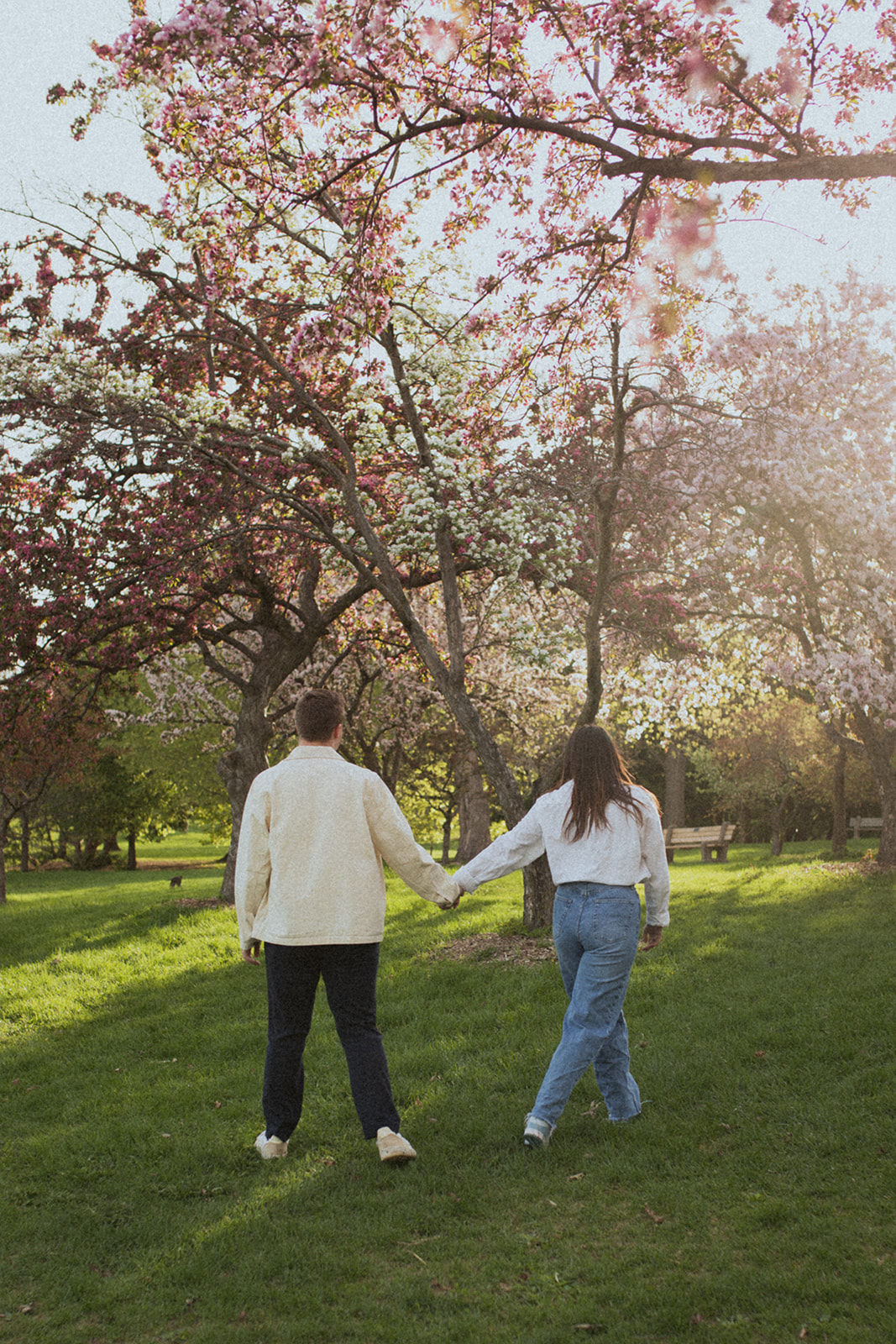 couple holding hands and walking under flowering trees in Lyndale Rose Garden Minneapolis