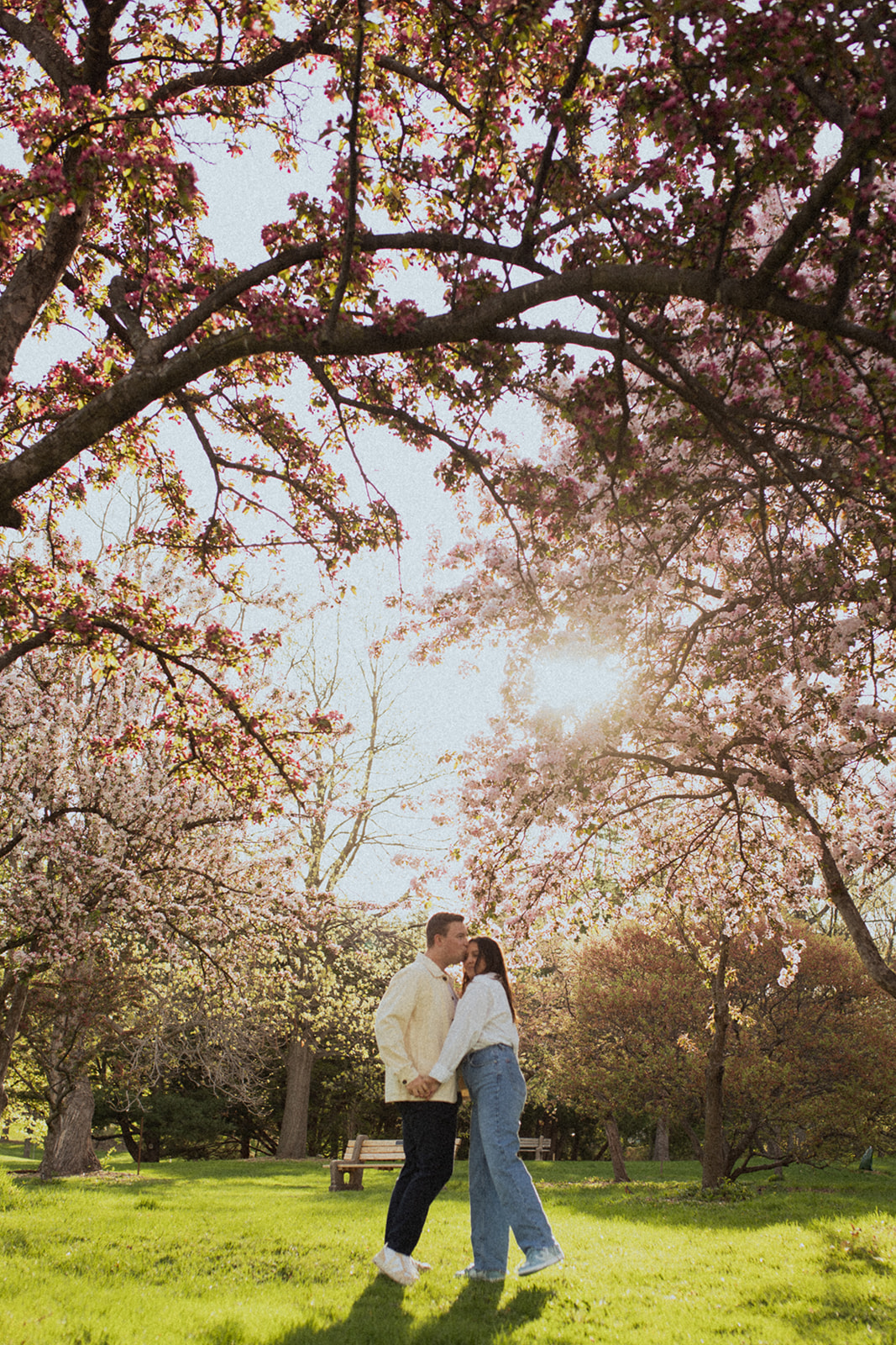 couple holding hands and walking under flowering trees in Lyndale Rose Garden Minneapolis