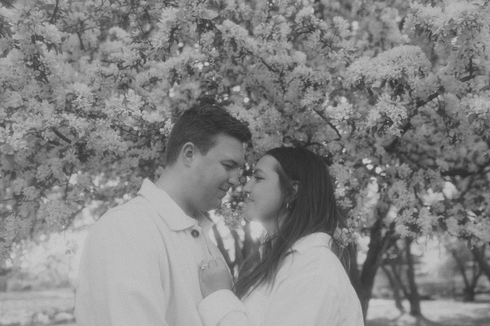 couple holding each other and looking at each other under white flowering trees in Minneapolis