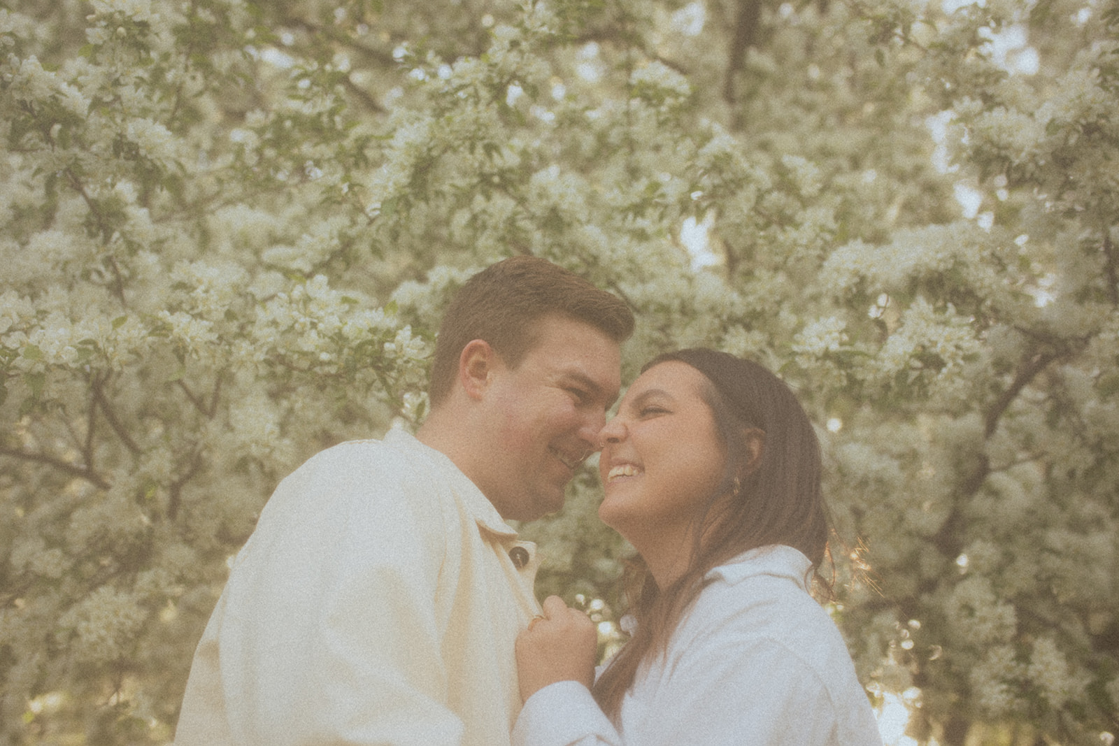 couple holding each other and looking at each other under white flowering trees in Minneapolis