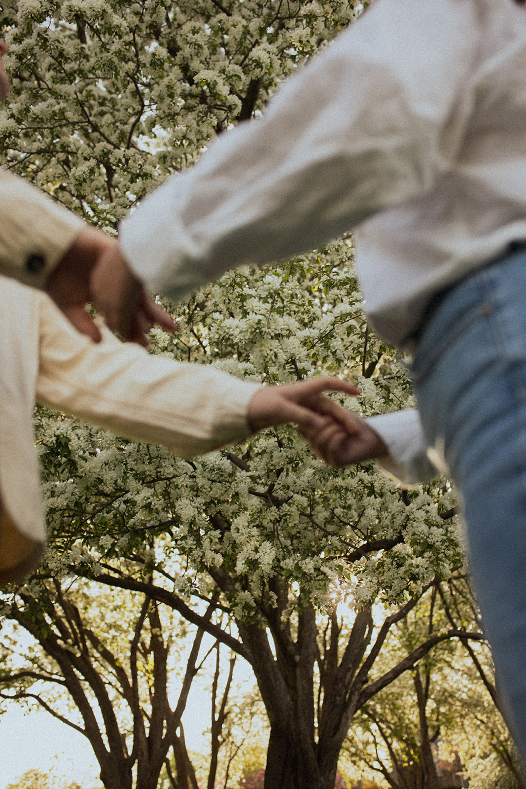 romantic couple holding hands under flowering trees at lyndale rose garden in Minneapolis