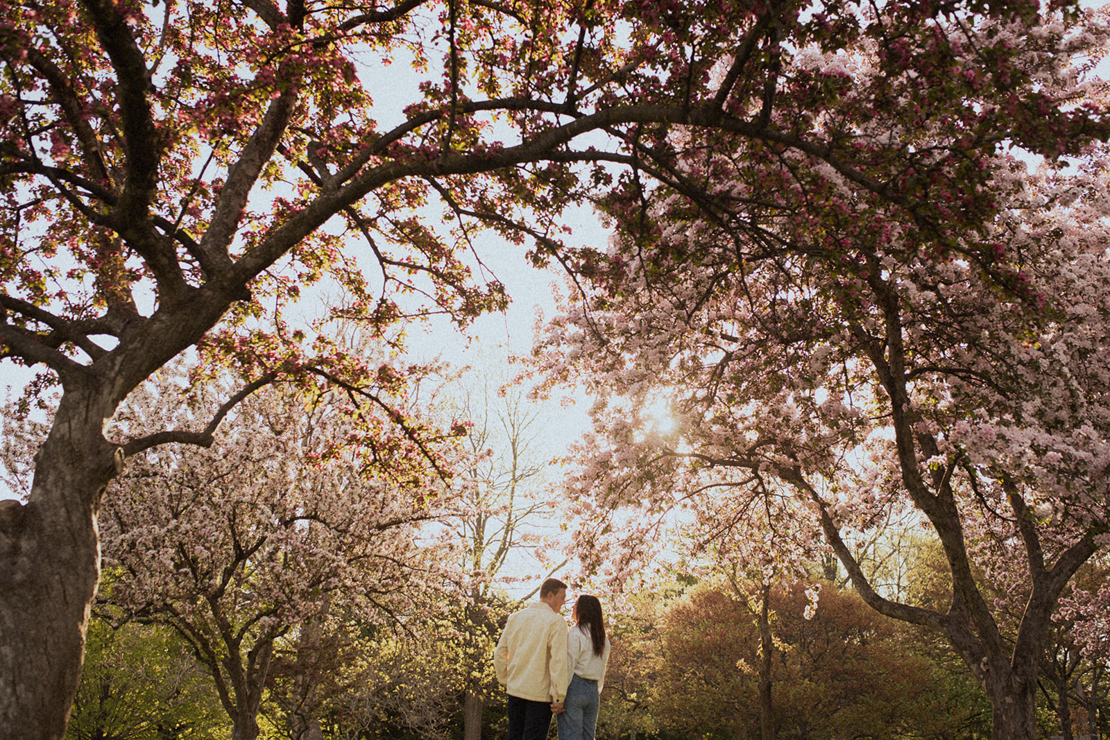 Romantic couple hugging under the blooming trees at Lyndale Rose Garden