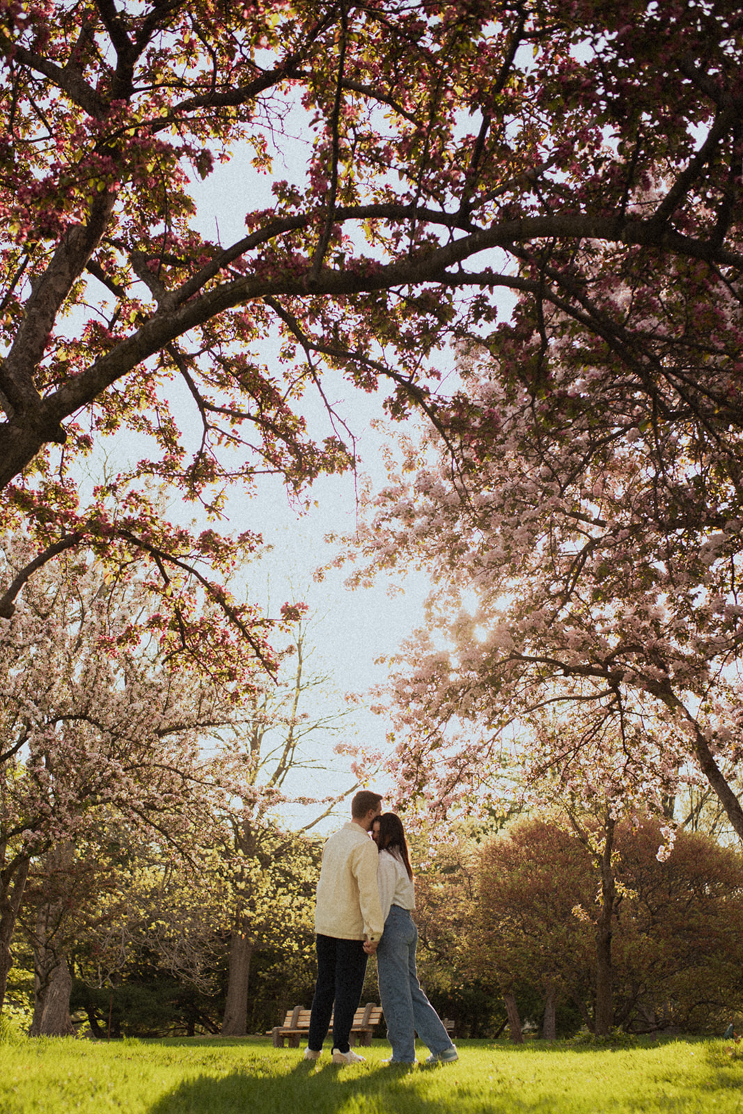 Romantic couple hugging under the blooming trees at Lyndale Rose Garden