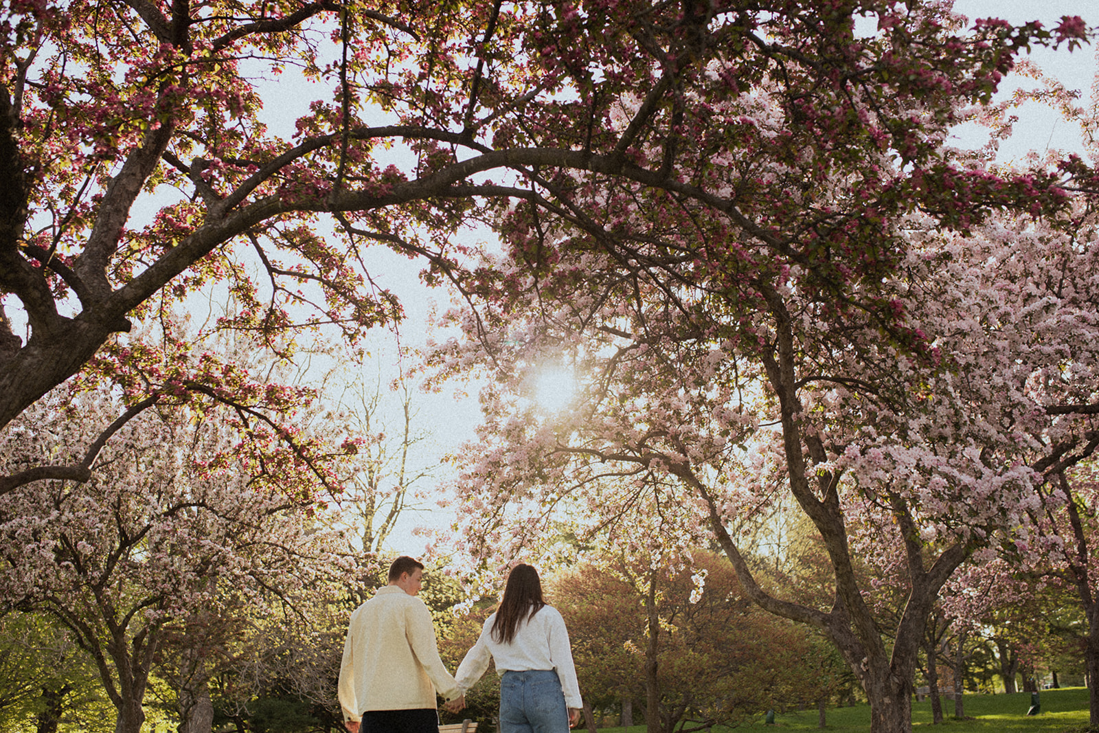 Romantic walking together hand in hand under the flowering trees at Lyndale Rose Garden