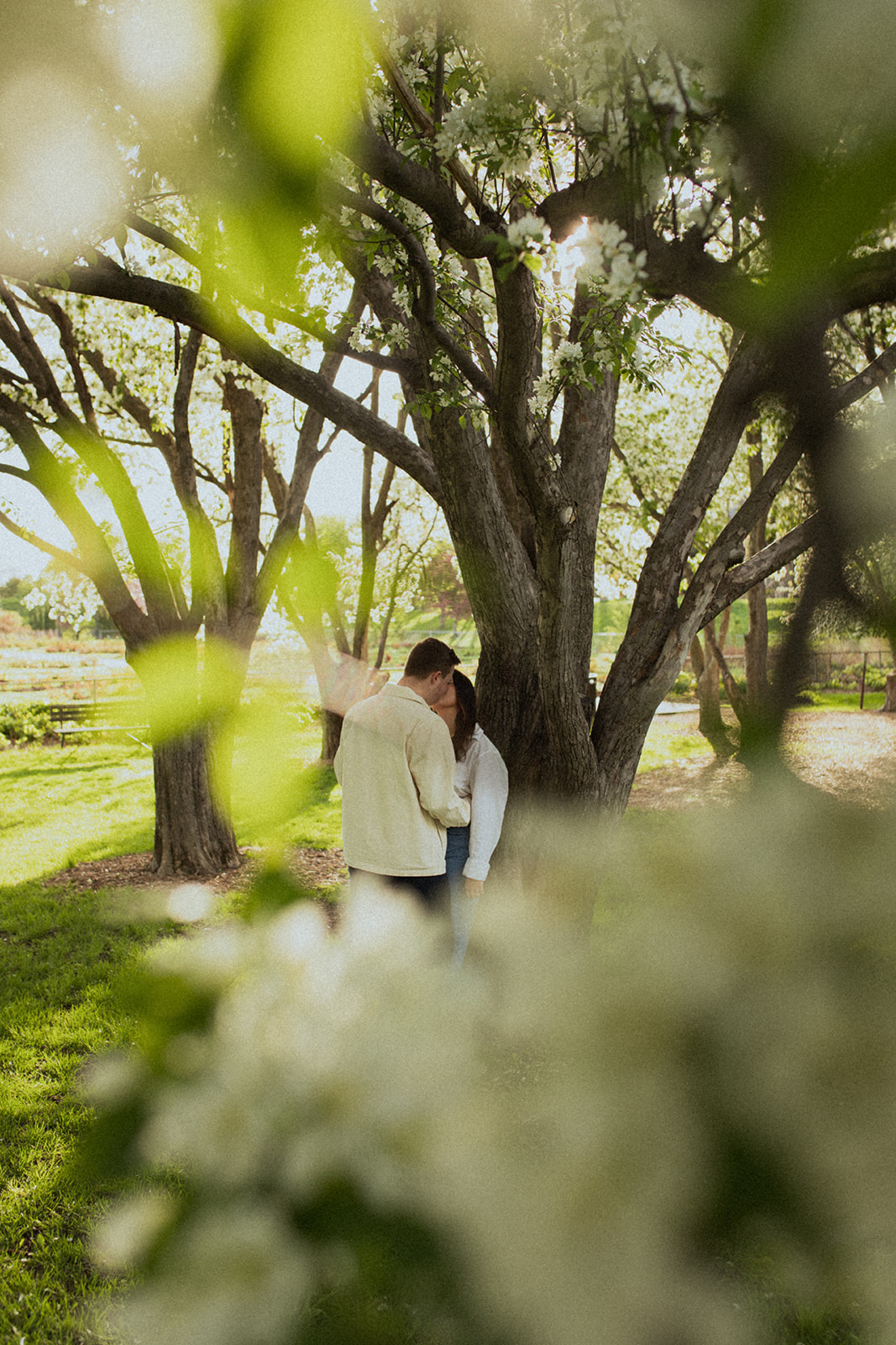 two lovers laughing together and kissing under the flowering trees at sunrise