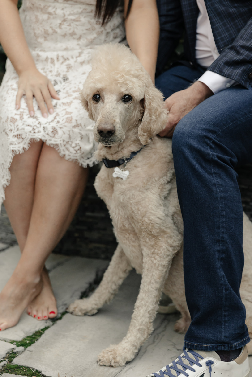Modern in-home couples session at stylish artsy home in Oklahoma City featuring Vegas, the family poodle