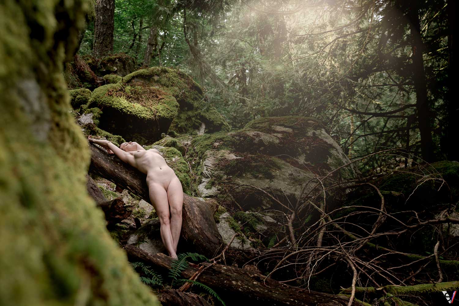 Canadian west coast artistic nude photography.Nudity in 