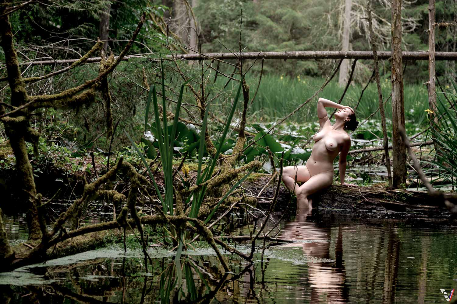 Fine nude art into the swamp.