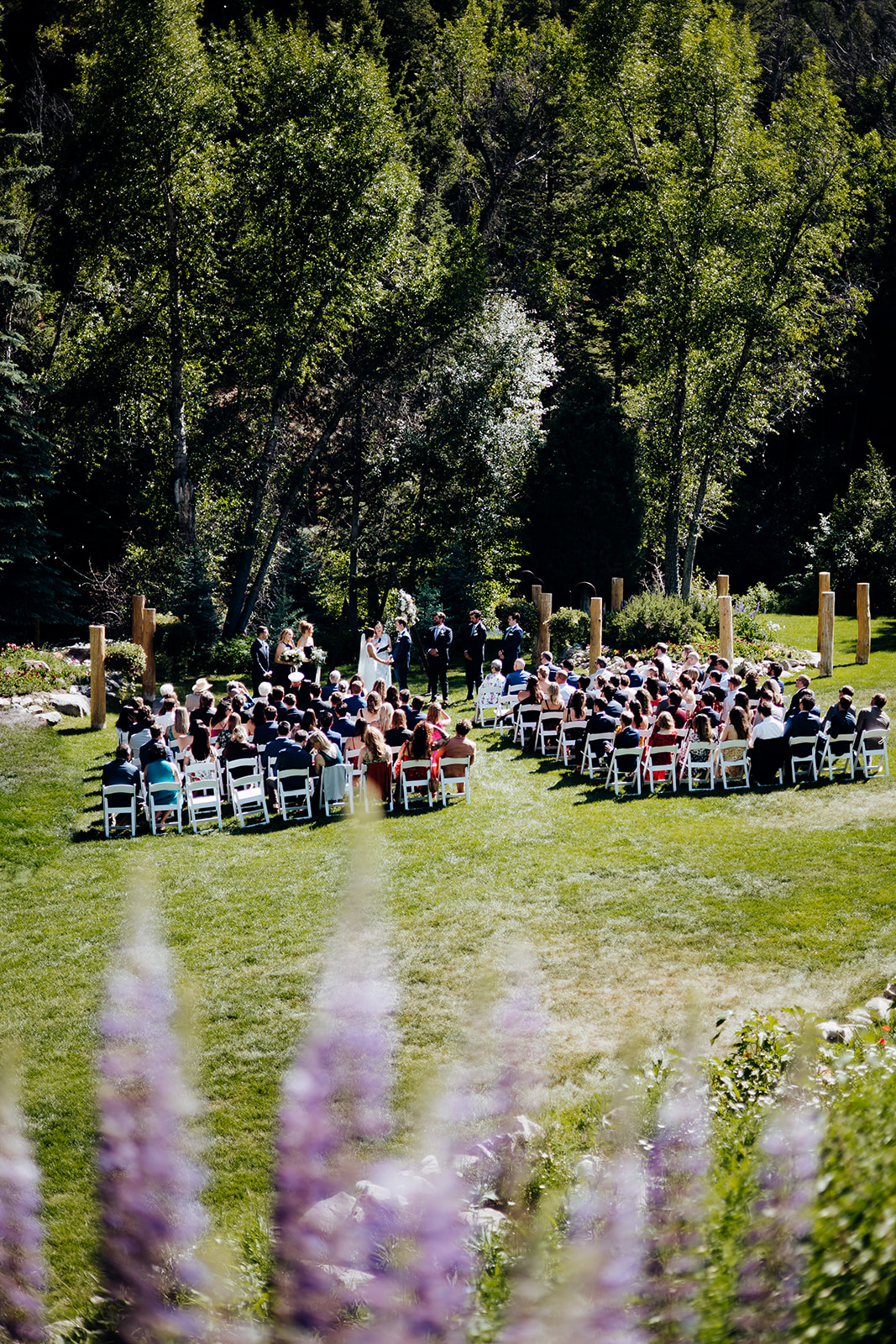 Mount Princeton Hot Springs Wedding