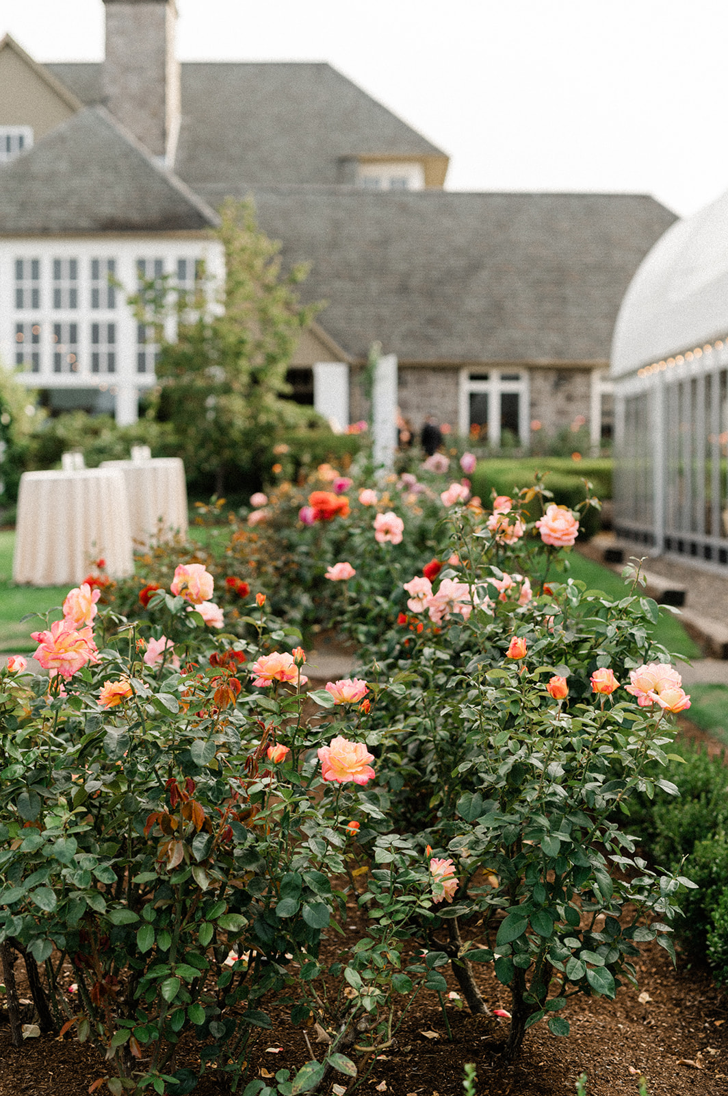 Exterior view of the roses surrounding the Oregon Golf Club wedding