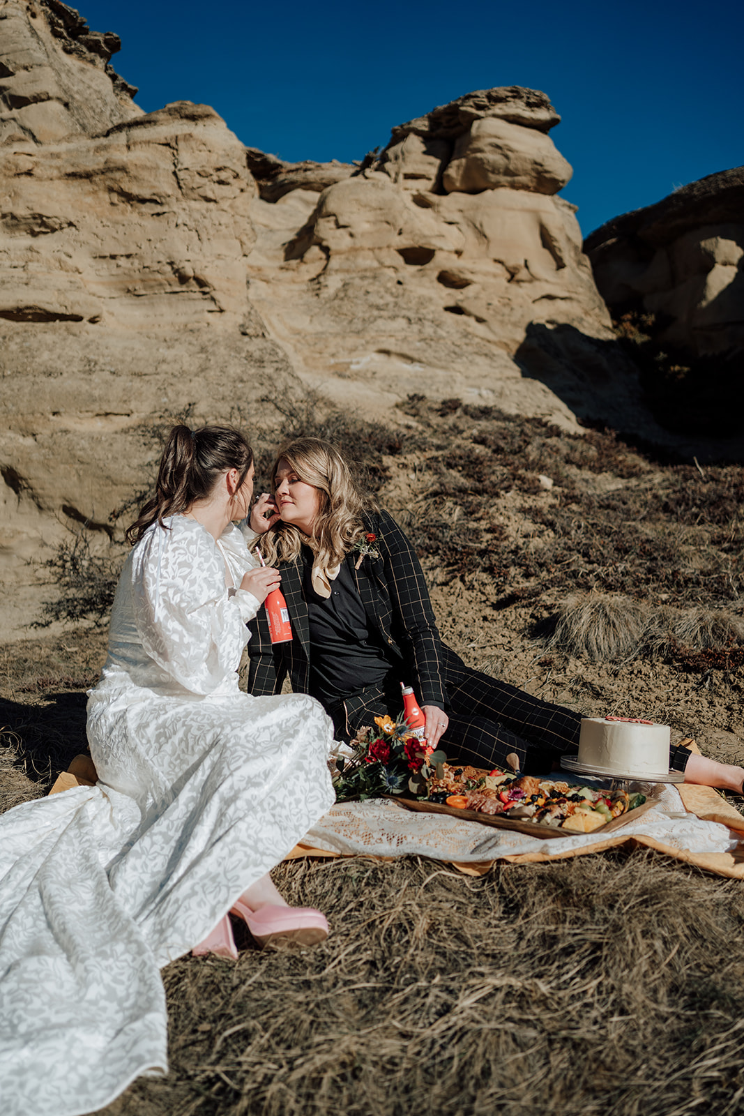 picnic elopement in southern alberta at writing on stone provincial park