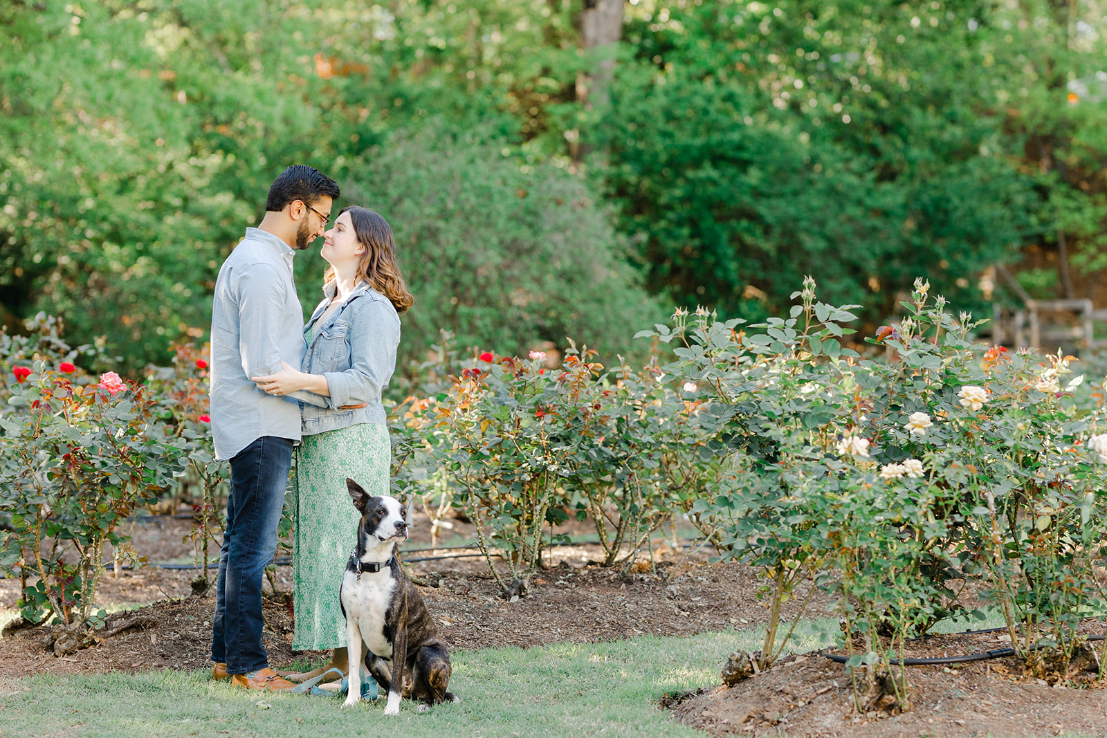 Couple and their dog in the Raleigh Rose Garden