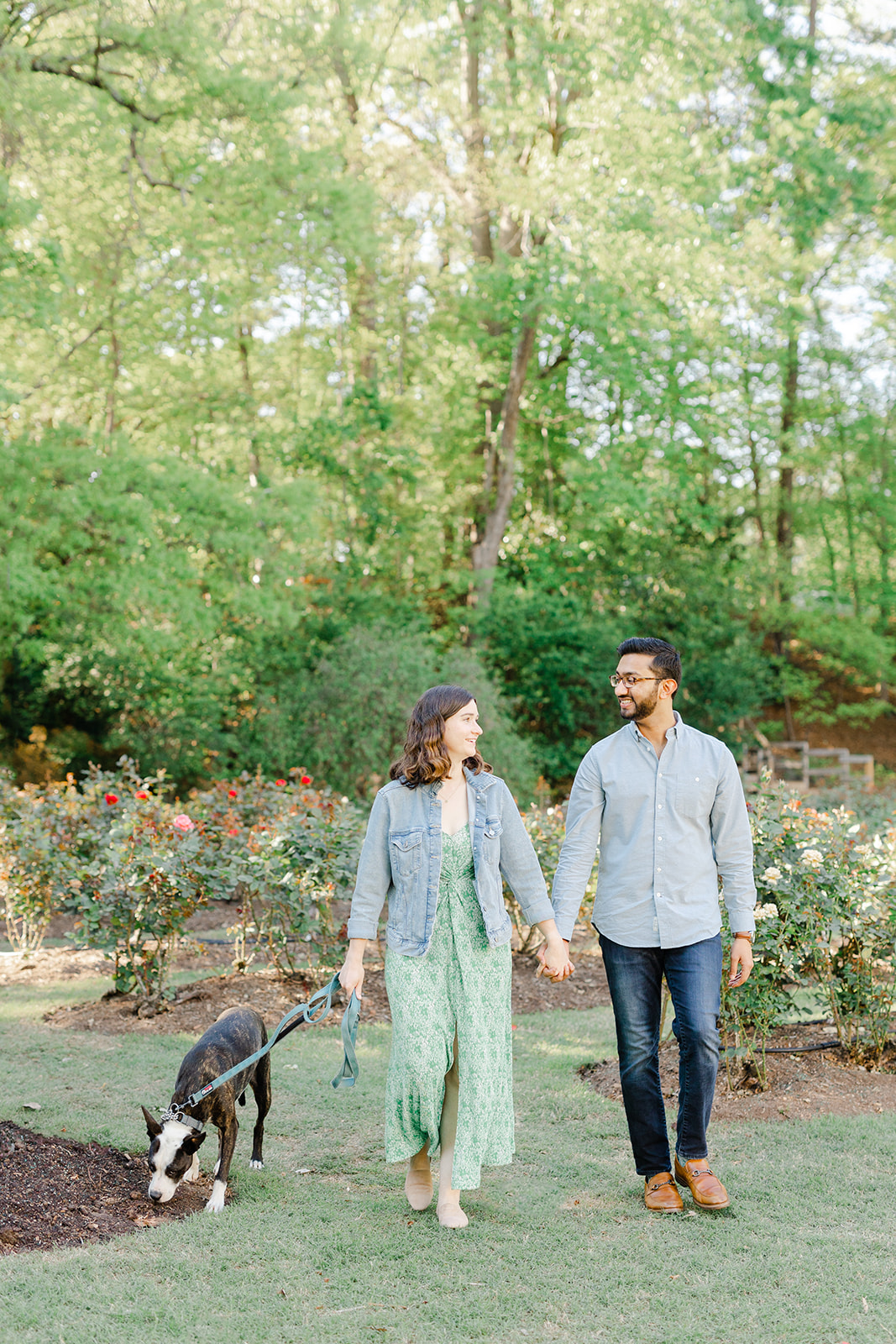 Couple and their dog walking in the Raleigh Rose Garden