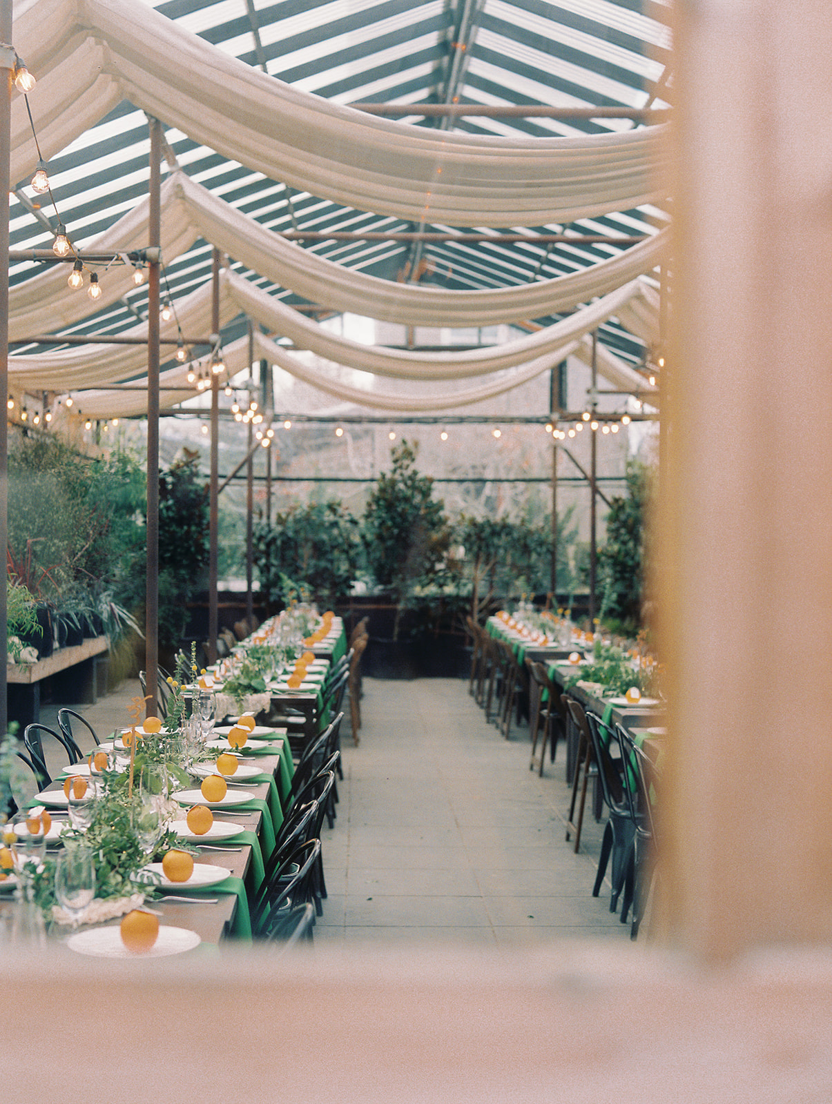 Alternative view of colorful reception table details in a greenhouse at Blockhouse PDX