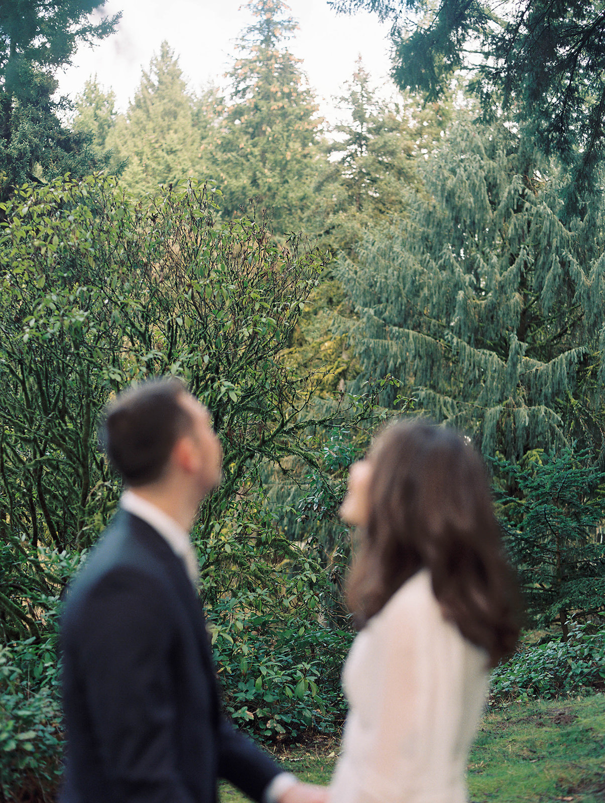 an artistic image of a couple looking at the Hoyt Arboretum nature around them