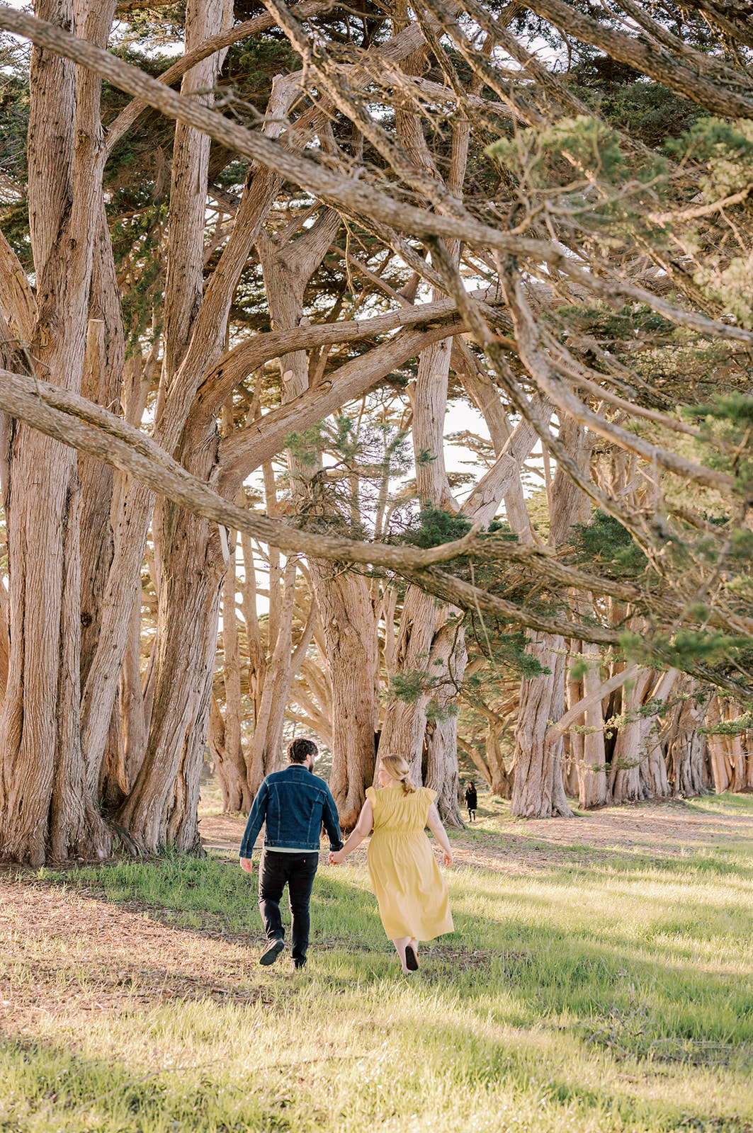 Point Reyes engagement session California 
