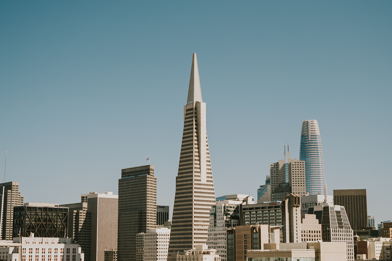 San Francisco skyline shot featuring the Transamerica Pyramid