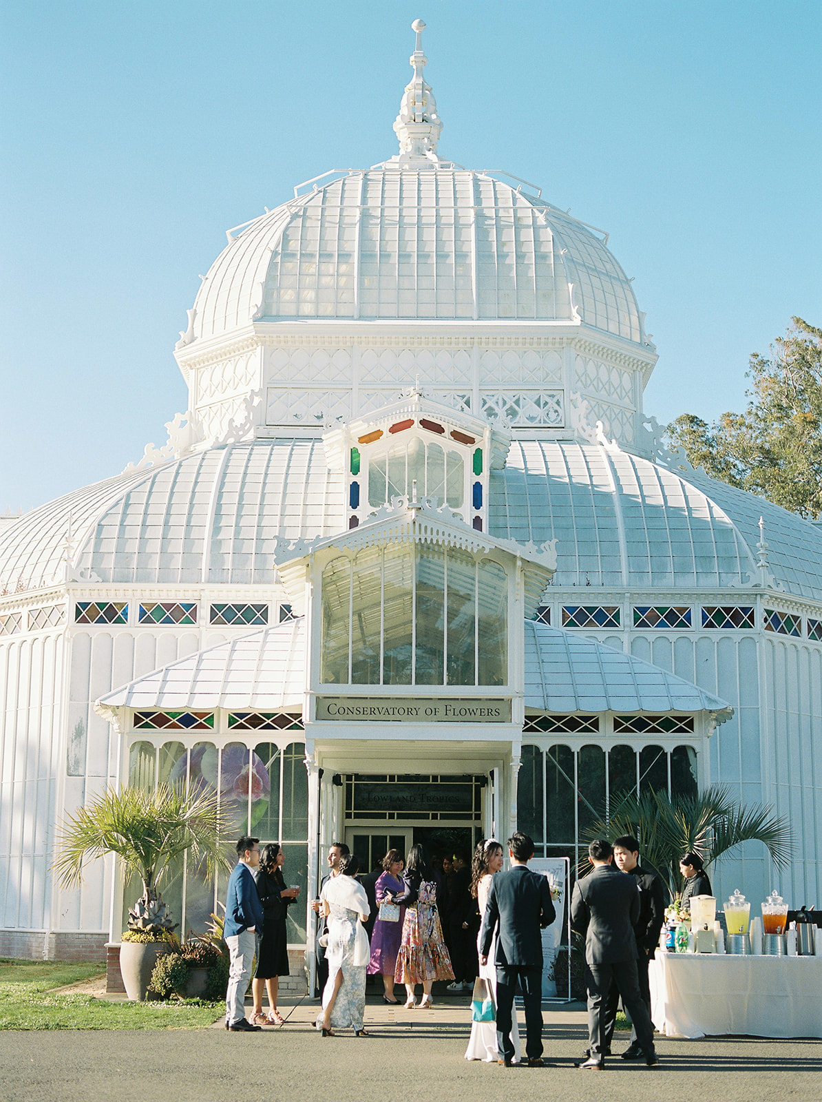 Conservatory of Flowers wedding reception